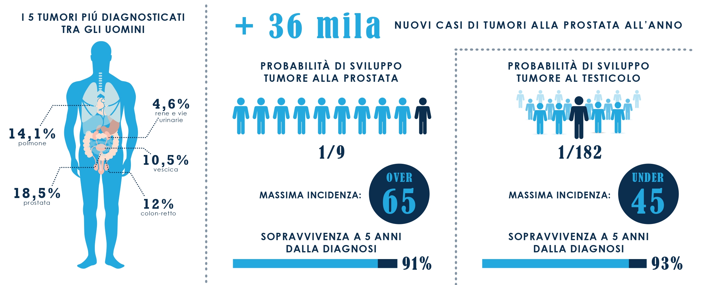 infografica